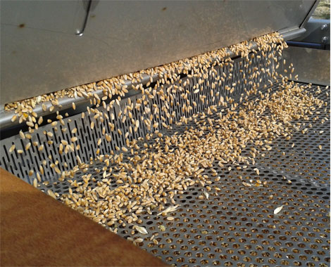 Wheat-Cleaning-Process